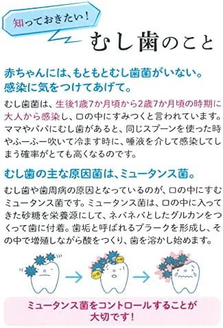 雪印ビーンスターク ビーンスターク ハキラ ブドウ 60粒 [1歳半頃から] 画像 2